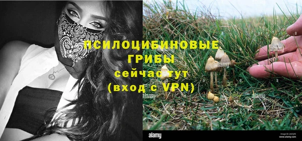 спайс Медногорск