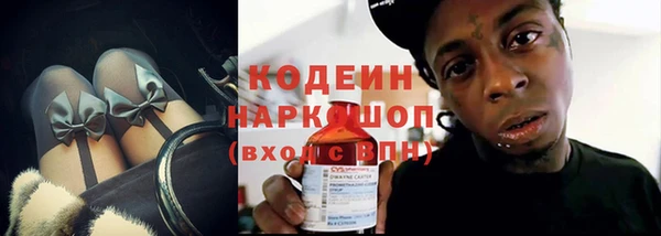 хмурый Магас