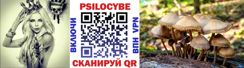 Псилоцибиновые грибы Psilocybe  Талица 